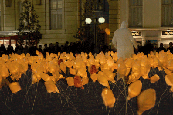 Performance: Efflorescences, un projet de Sophie Guyot pour la F�te des lumi�res � Lyon