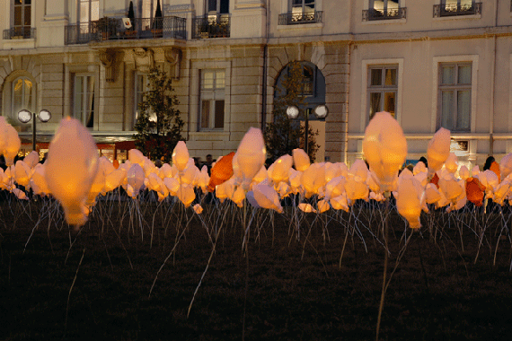 Performance: Efflorescences, un projet de Sophie Guyot pour la F�te des lumi�res � Lyon en France
